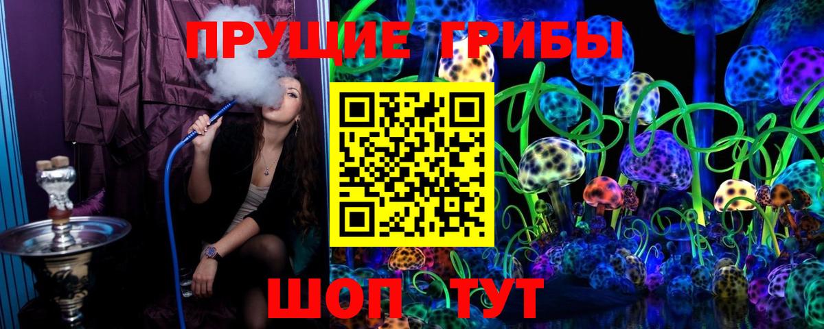 Галлюциногенные грибы Psilocybine cubensis Черняховск