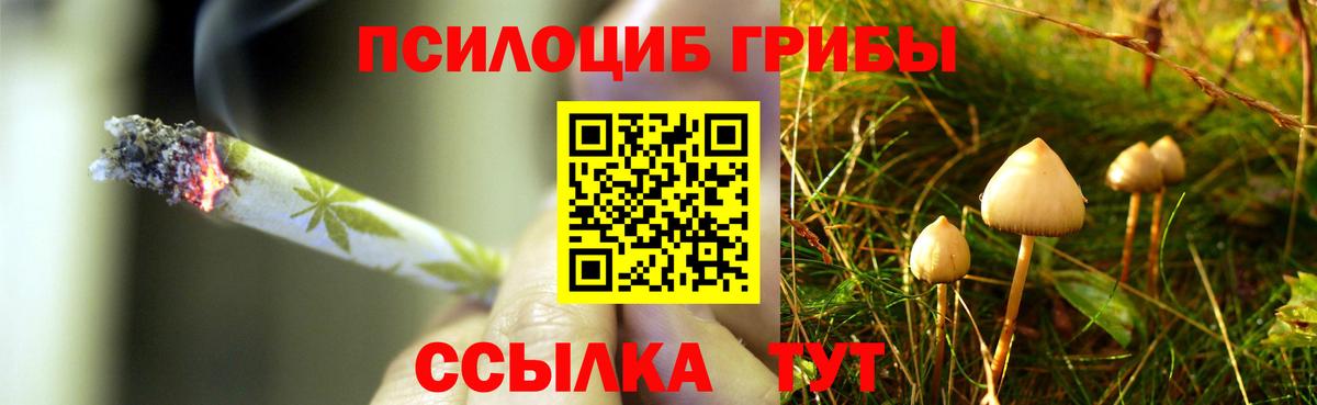 Псилоцибиновые грибы прущие грибы  Псилоцибиновые грибы прущие грибы  Вход с VPN  Черняховск 